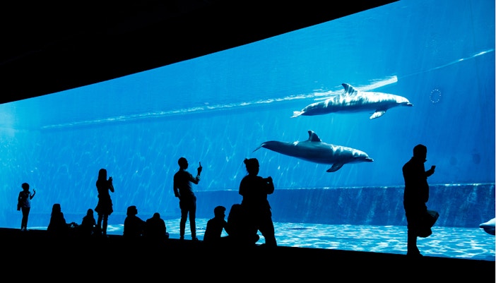 Inside Genoa Aquarium