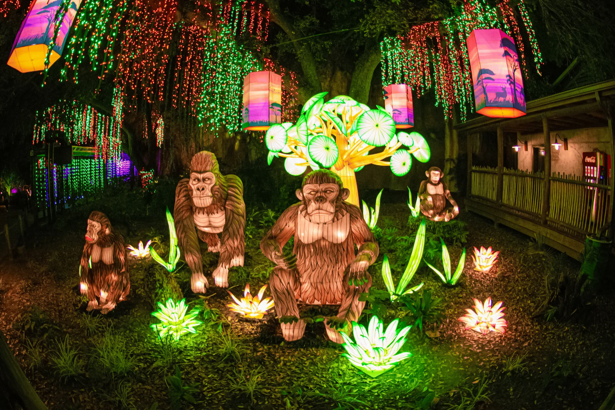 Illuminated animal lanterns at Houston Zoo during night event.