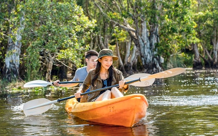 Langkawi Mangrove Kayak Tour
