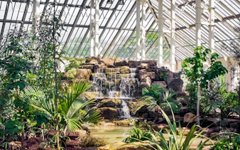Waterfall surrounded by lush plants in the Temperate House at Kew Gardens.