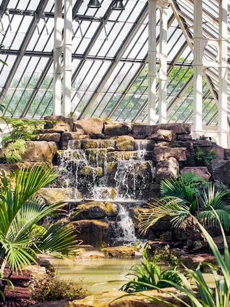 Waterfall surrounded by lush plants in the Temperate House at Kew Gardens.