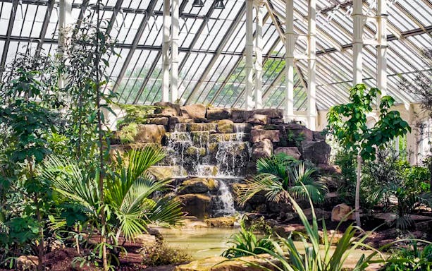 Waterfall surrounded by lush plants in the Temperate House at Kew Gardens.