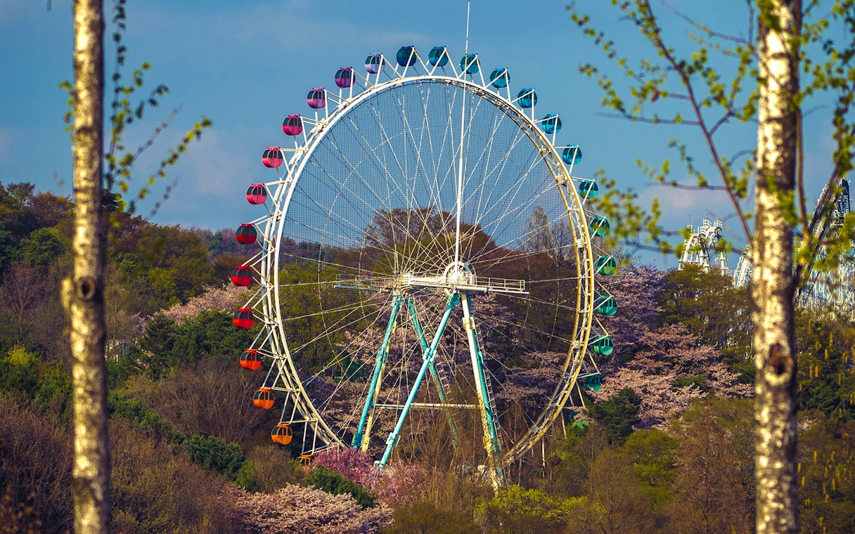Ferris wheel surrounded by trees at Everland theme park.