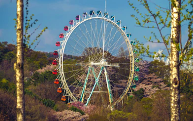 Ferris wheel surrounded by trees at Everland theme park.