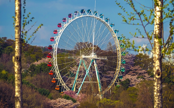 Ferris wheel surrounded by trees at Everland theme park.