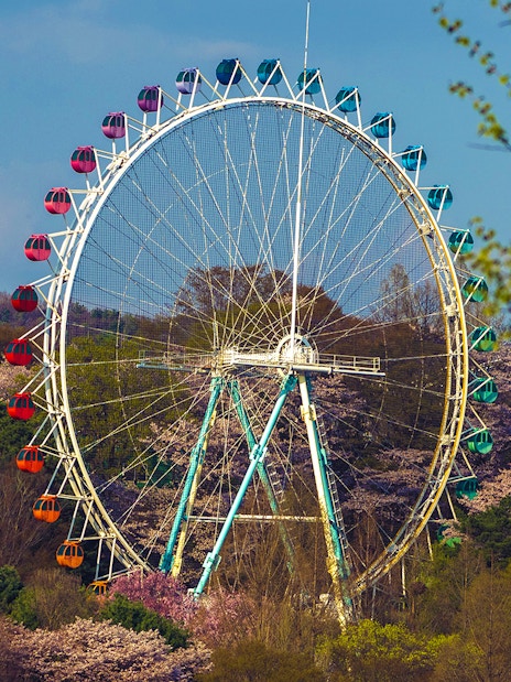 Ferris wheel surrounded by trees at Everland theme park.
