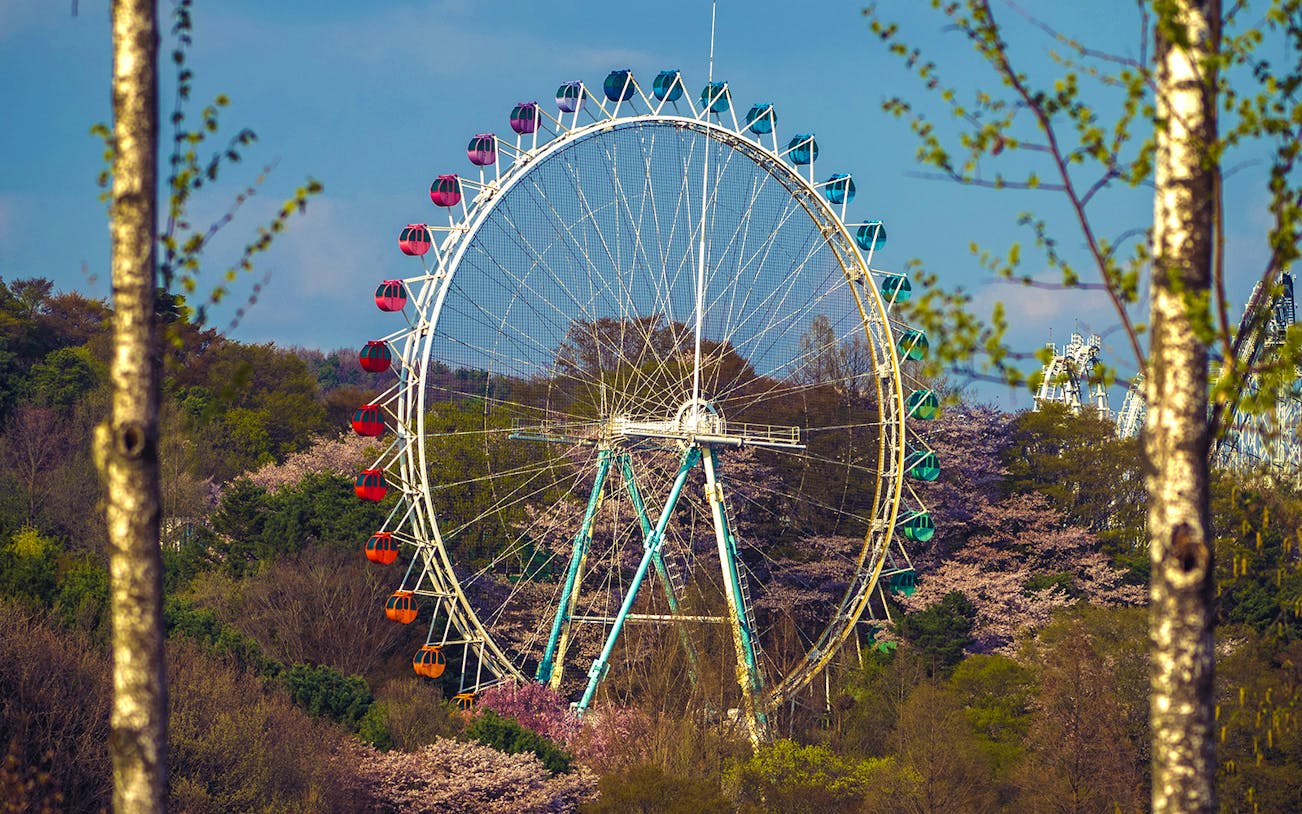 Ferris wheel surrounded by trees at Everland theme park.