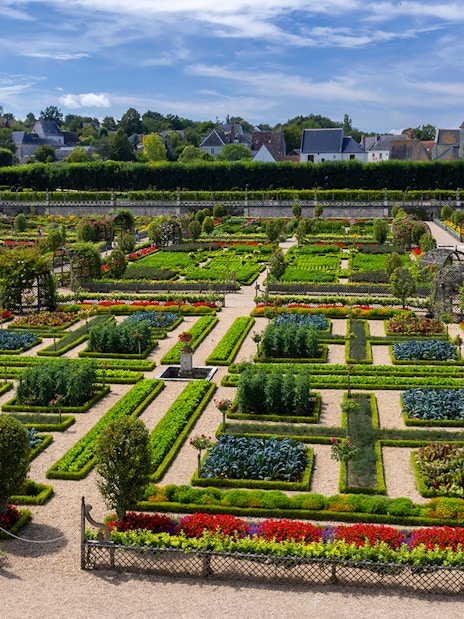 Villandry gardens with geometric flower beds and pathways, part of the Villandry, Azay-le-Rideau tour.
