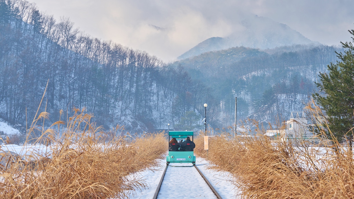 Visit to Nami Island