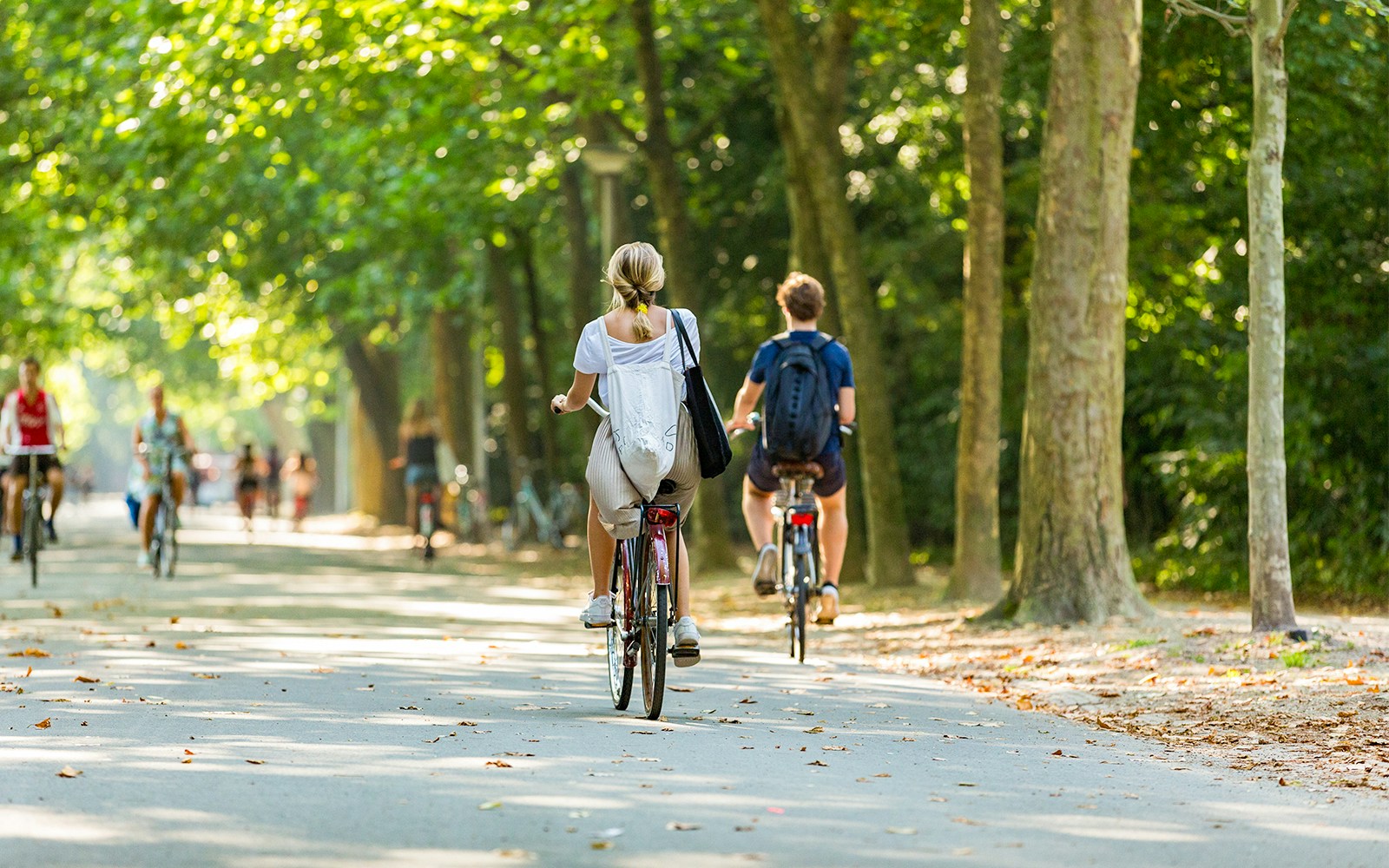 people cycling in Phoenix Park