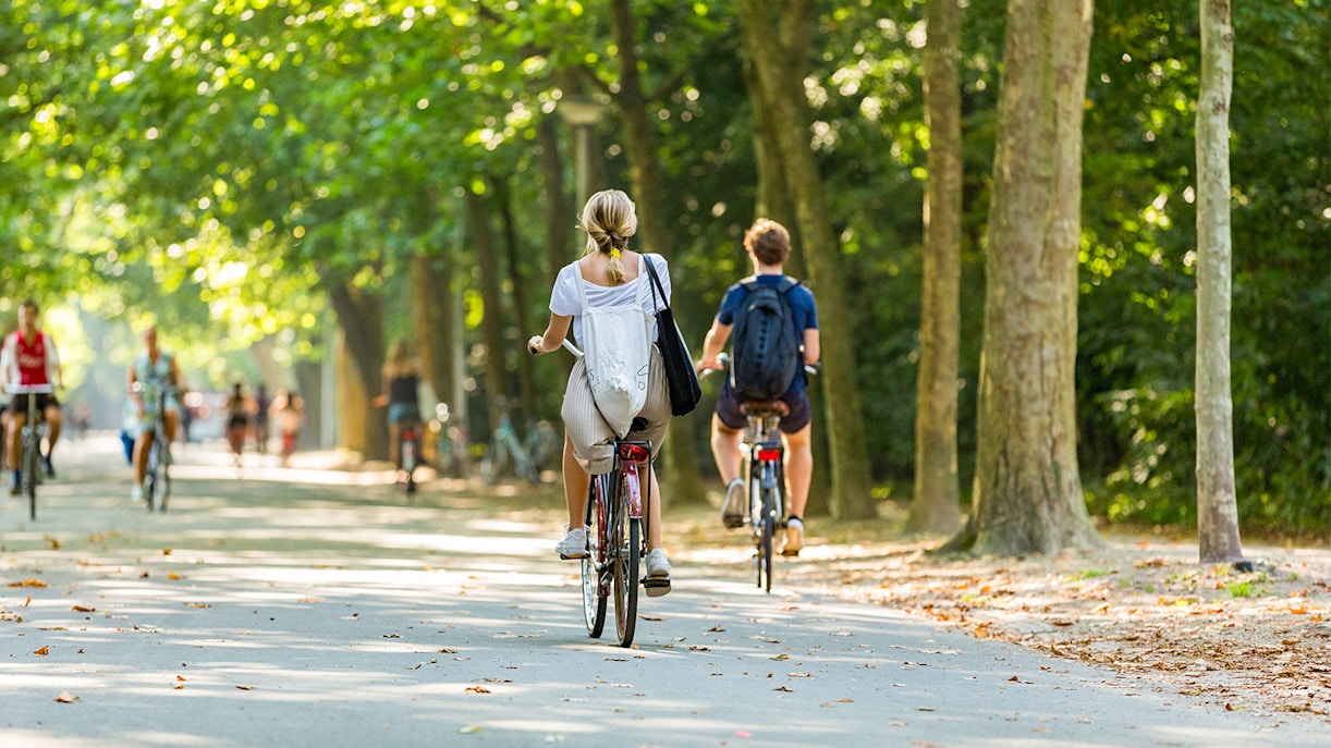Children biking through Vondelpark, Amsterdam, on a sunny day.