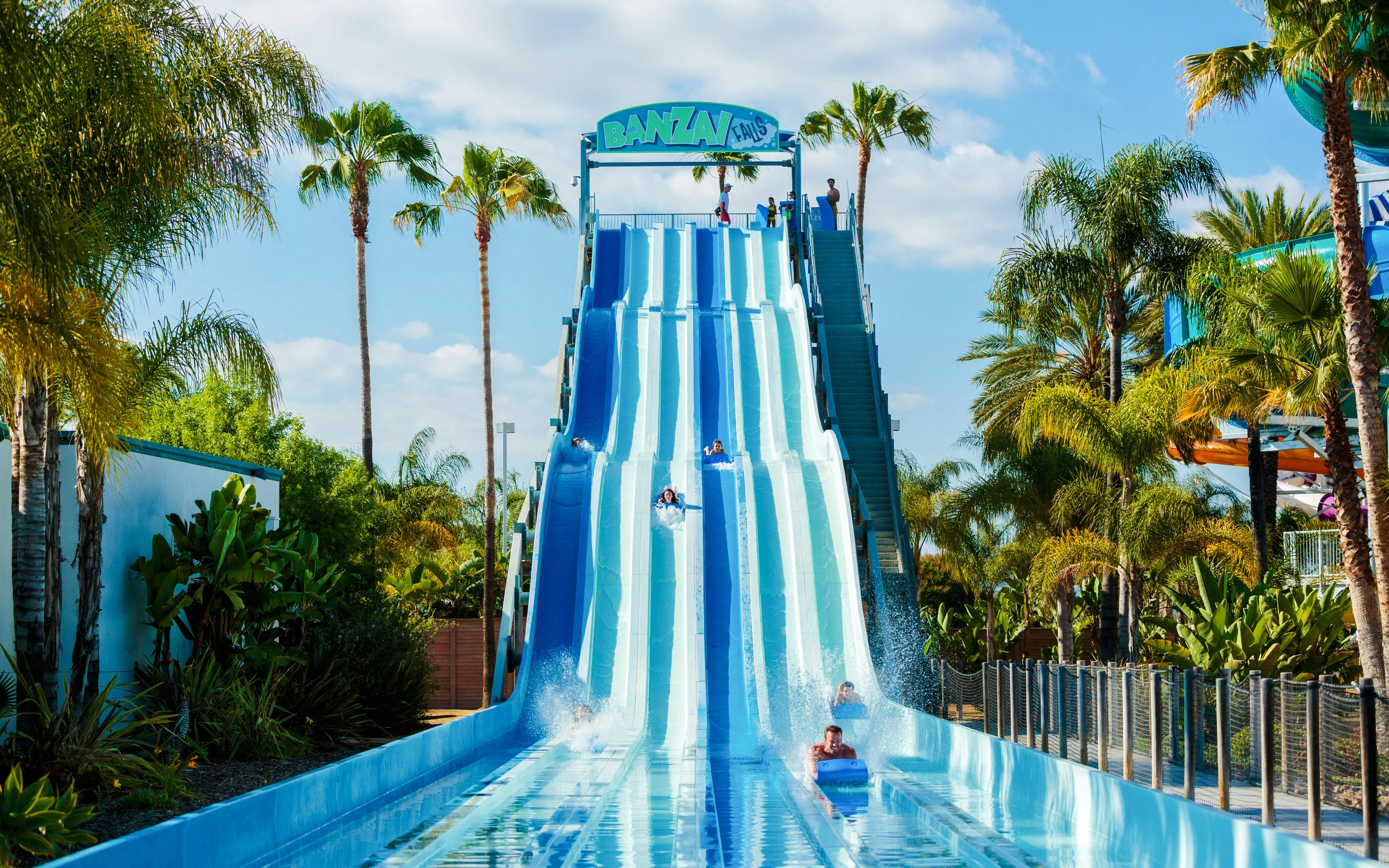 Visitors sliding down water slides at Knott's Soak City, surrounded by palm trees.