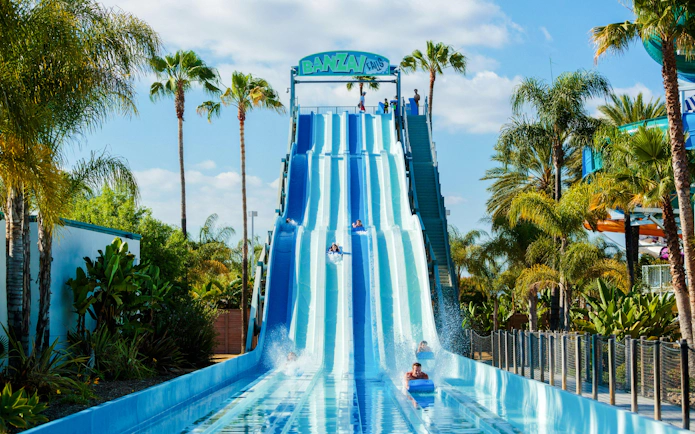 Visitors sliding down water slides at Knott's Soak City, surrounded by palm trees.