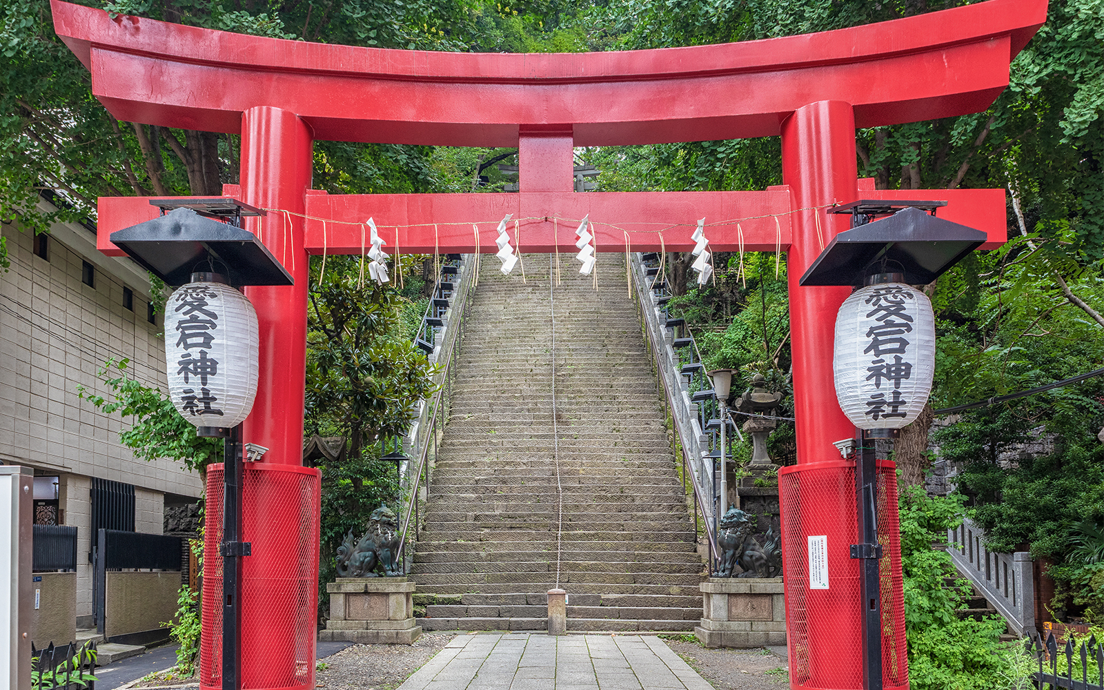 Hilltop time capsule with ultra-steep “Stairway of Success