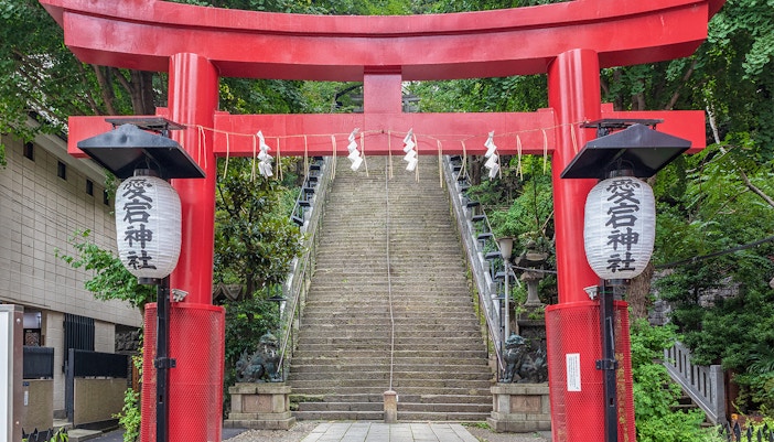 Hilltop time capsule with ultra-steep “Stairway of Success