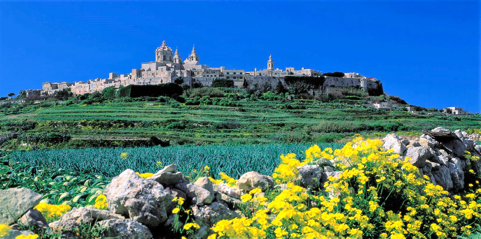 mdina, rabat, dingli cliffs, san anton gardens, ta' qali and mosta dome guided tour with lunch-1