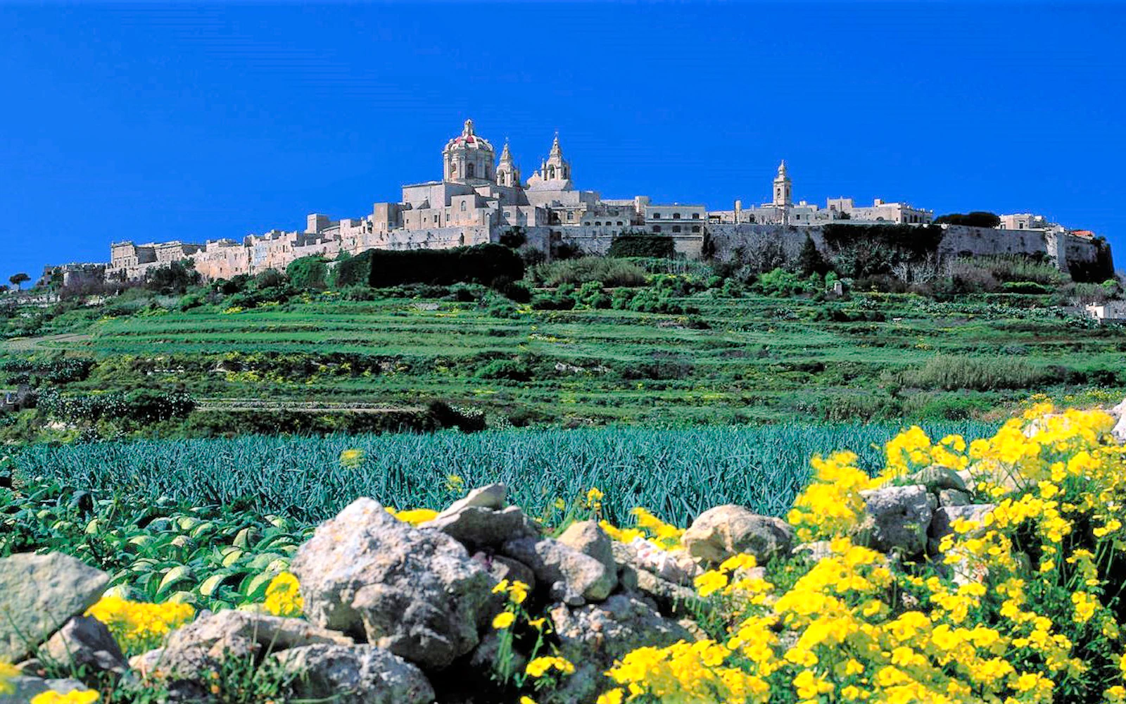 Mdina, Rabat, Dingli Cliffs, San Anton Gardens, Ta' Qali and Mosta Dome Guided Tour with Lunch