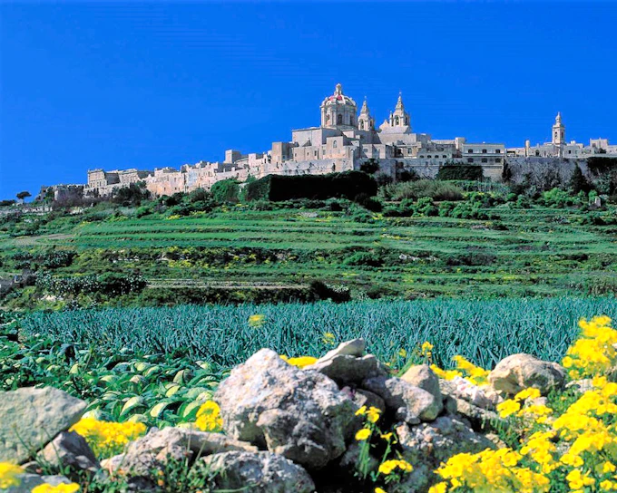 Mdina, Rabat, Dingli Cliffs, San Anton Gardens, Ta' Qali and Mosta Dome Guided Tour with Lunch