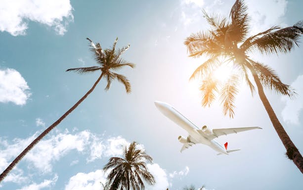Airplane flying over palm trees in Pattaya, Thailand, for private airport transfer.