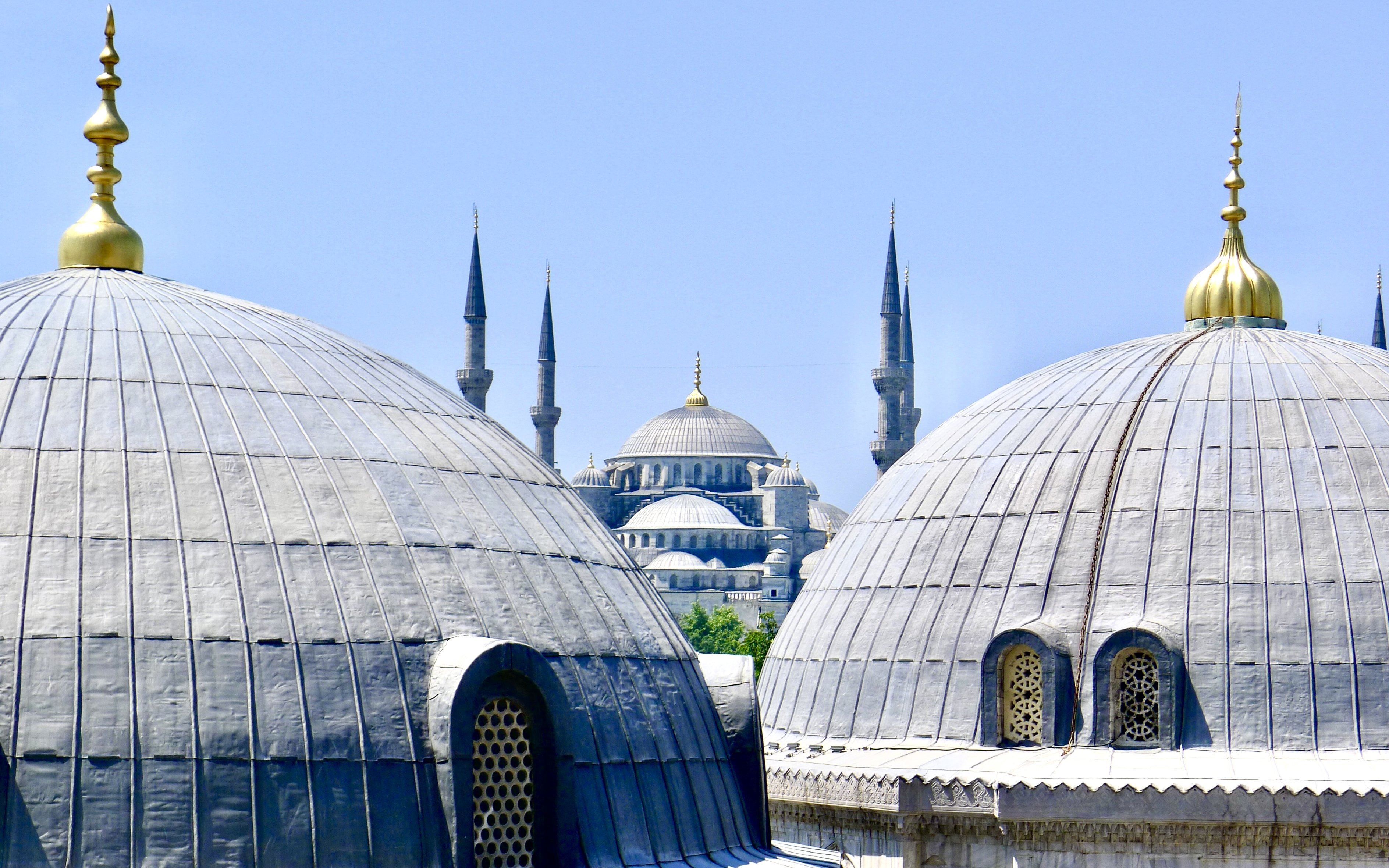 Rooftop view of the Blue Mosque's domes and minarets in Istanbul.