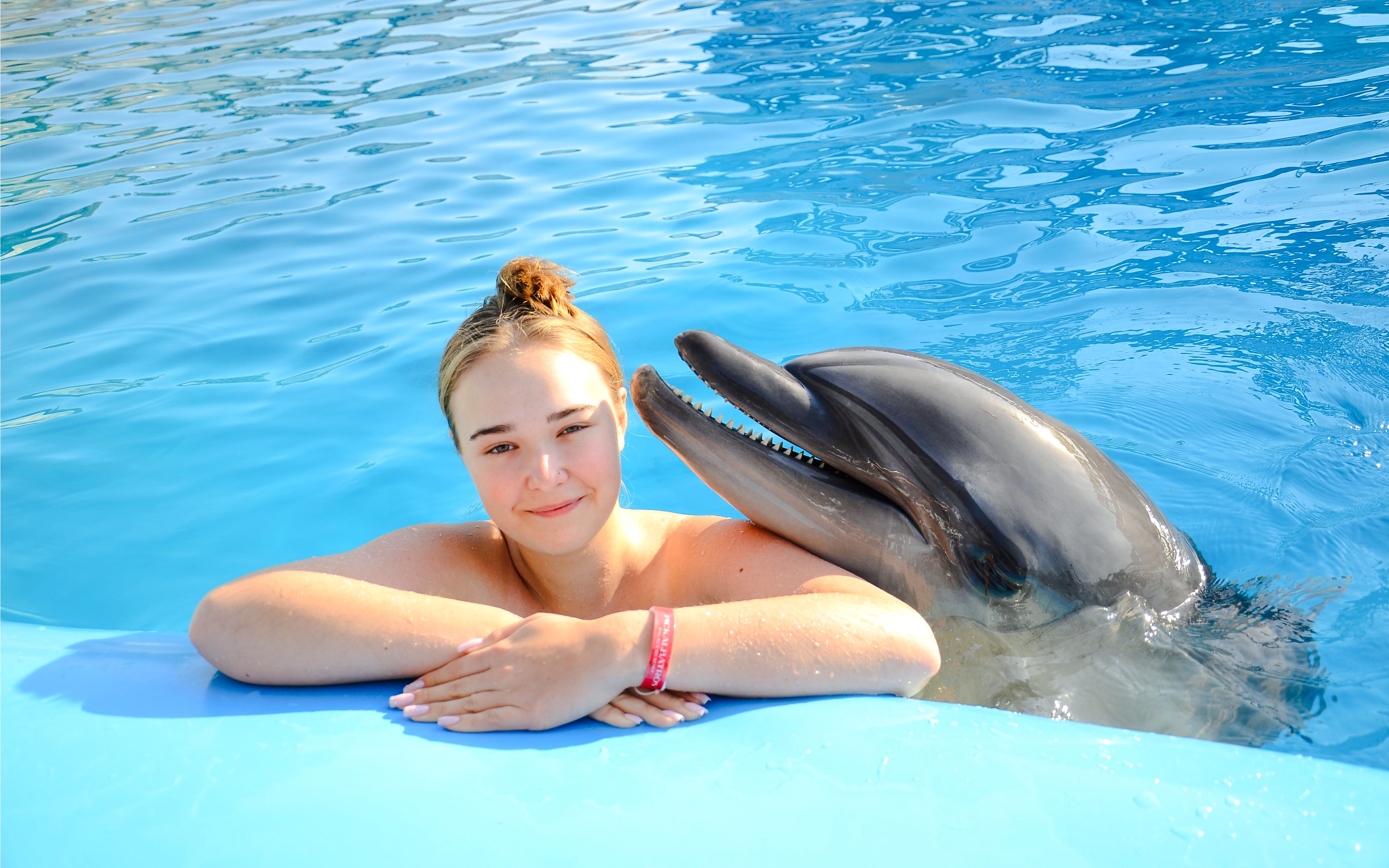 Person swimming with a dolphin at Dolphin World during a private photo experience.