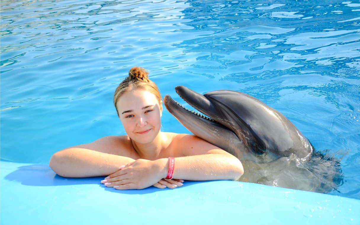 Person swimming with a dolphin at Dolphin World during a private photo experience.
