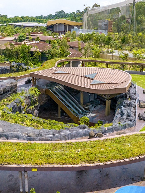 Aerial view of Mandai Wildlife Reserve with lush greenery and modern architecture.
