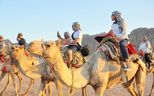 Camel ride along the Souss River in Agadir with tourists capturing the experience.