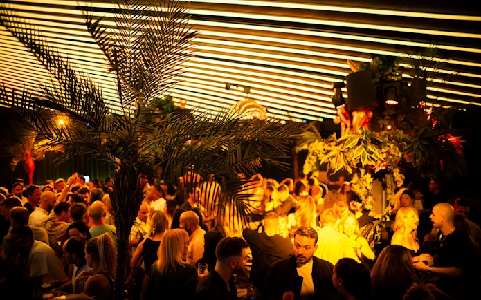 Crowded nightclub scene at Baloo Ibiza with vibrant lighting and palm decor.