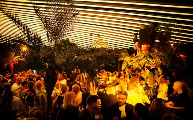 Crowded nightclub scene at Baloo Ibiza with vibrant lighting and palm decor.