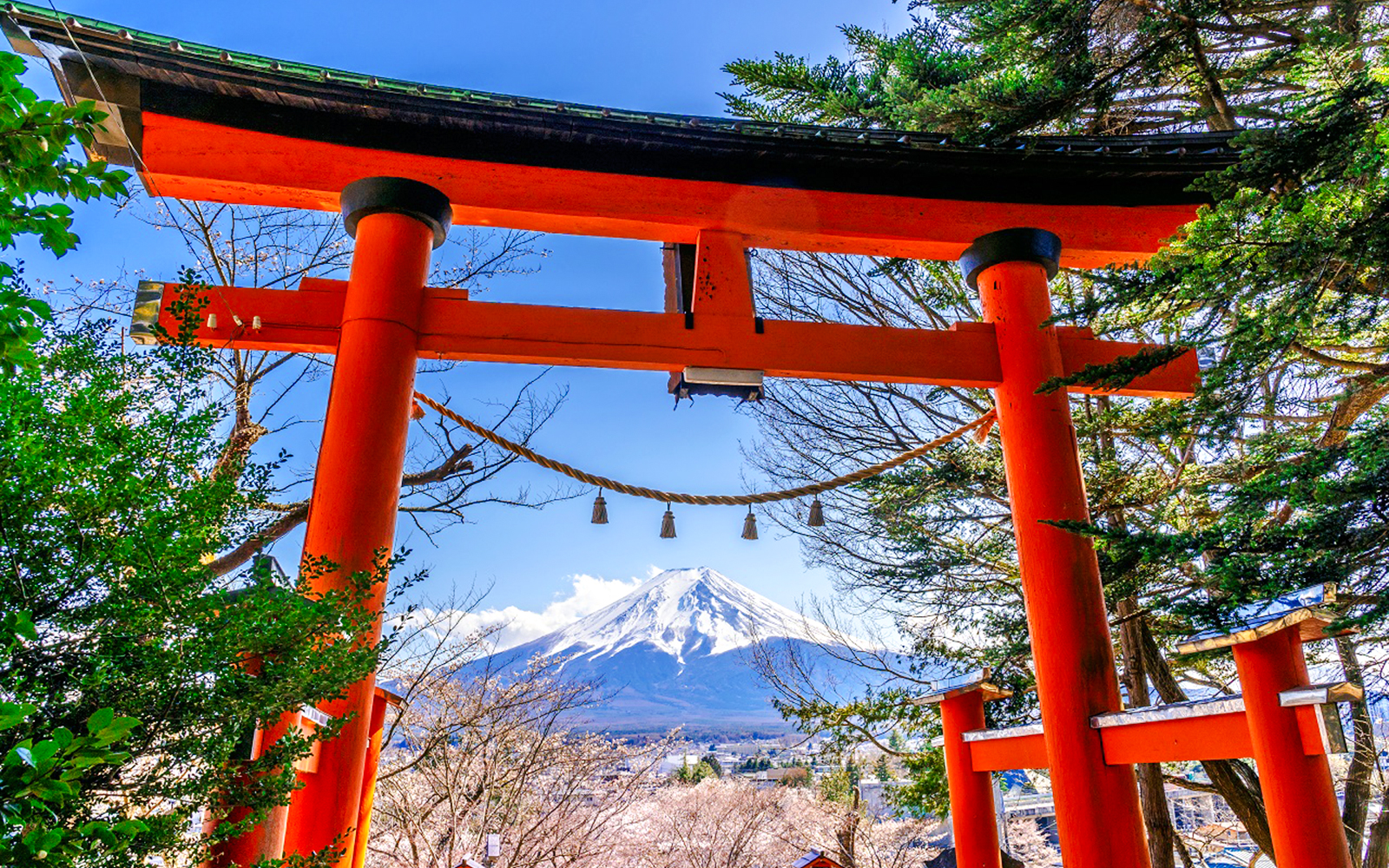 Torii gate framing Mt. Fuji with trees in the foreground, Japan.