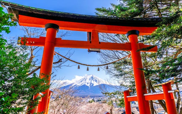 Torii gate framing Mt. Fuji with trees in the foreground, Japan.
