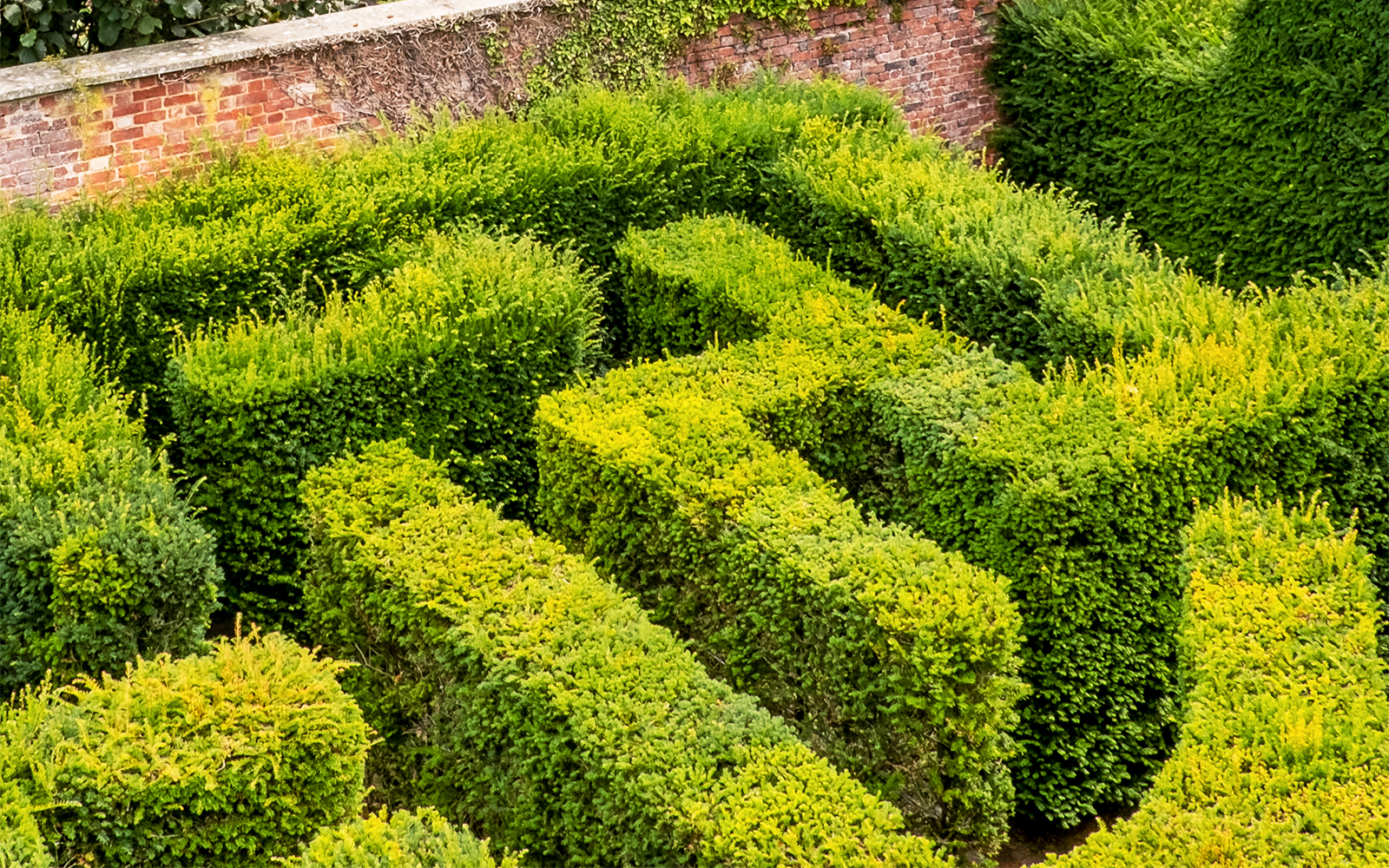 hampton court maze