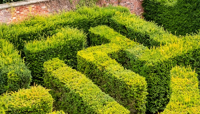 hampton court maze