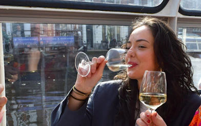 Woman enjoying wine on Haarlem canal dinner cruise.