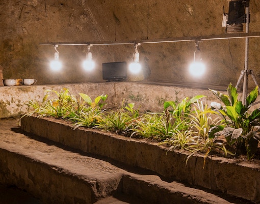 Naples Underground hypogeum garden at Napoli Sotterranea.