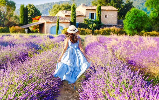 Woman walking through lavender fields in Valensole, Provence, with a stone house in the background.