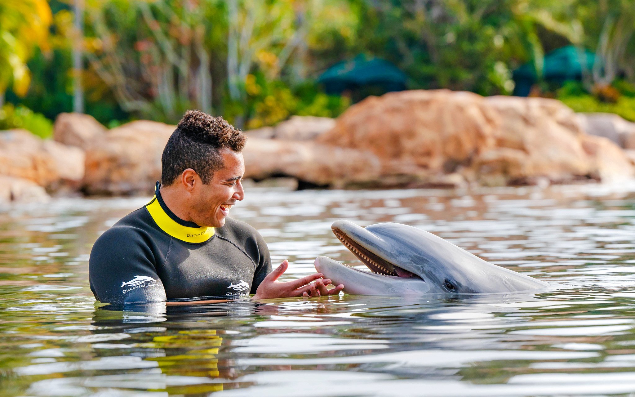 Person interacting with a dolphin at Discovery Cove Orlando.