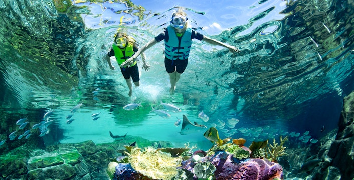 Discovery Cove Orlando