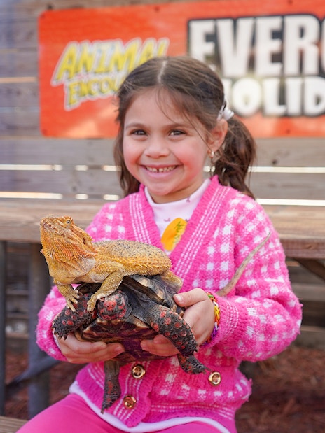 Child holding a lizard and turtle at Everglades Holiday Park animal encounter.