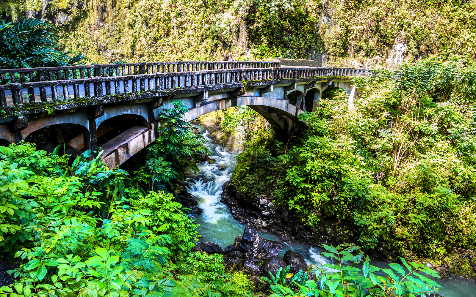 Bridge over Wailua Nui Stream at Upper Waikani Falls, Road to Hana, Maui, Hawaii.