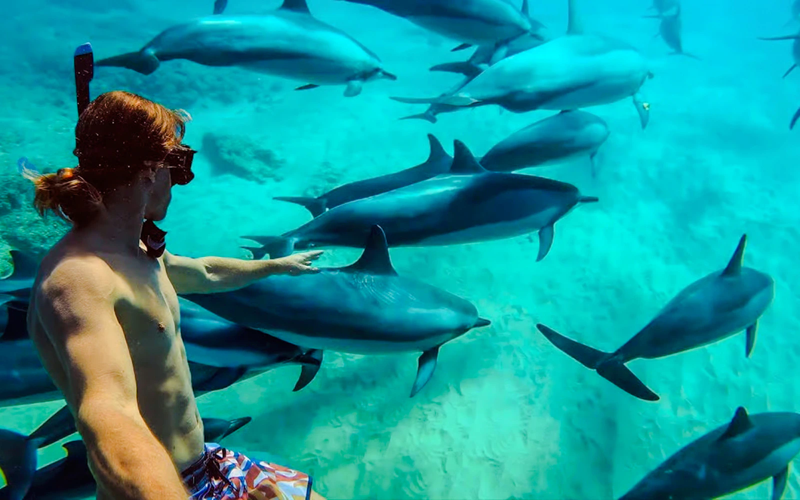 Mnemba Atoll Dolphin Spotting and Snorkeling Boat Trip with Lunch and Hotel Pickup