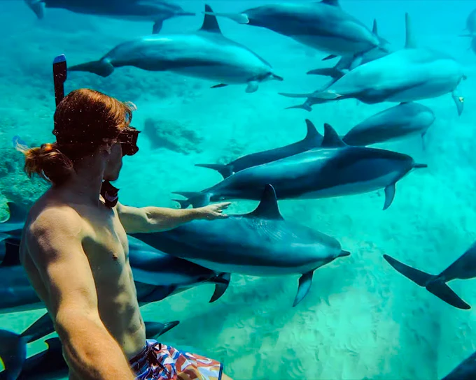 Mnemba Atoll Dolphin Spotting and Snorkeling Boat Trip with Lunch and Hotel Pickup