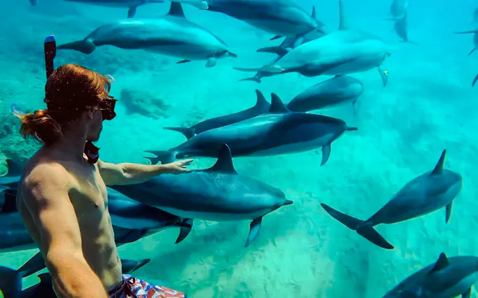 excursion en bateau dans l'atoll de mnemba pour observer les dauphins et faire de la plongée en tuba, avec déjeuner et prise en charge à l'hôtel-1