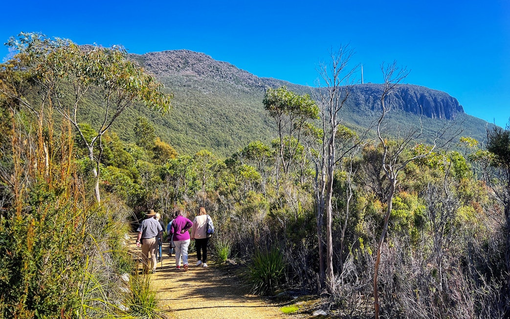 Group hiking on a trail with Mt Wellington in the background, Tasmania.