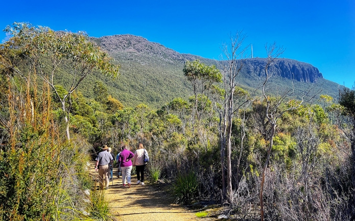 Group hiking on a trail with Mt Wellington in the background, Tasmania.