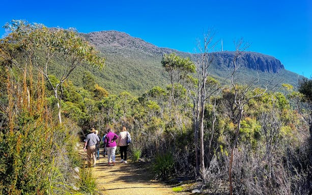 Group hiking on a trail with Mt Wellington in the background, Tasmania.