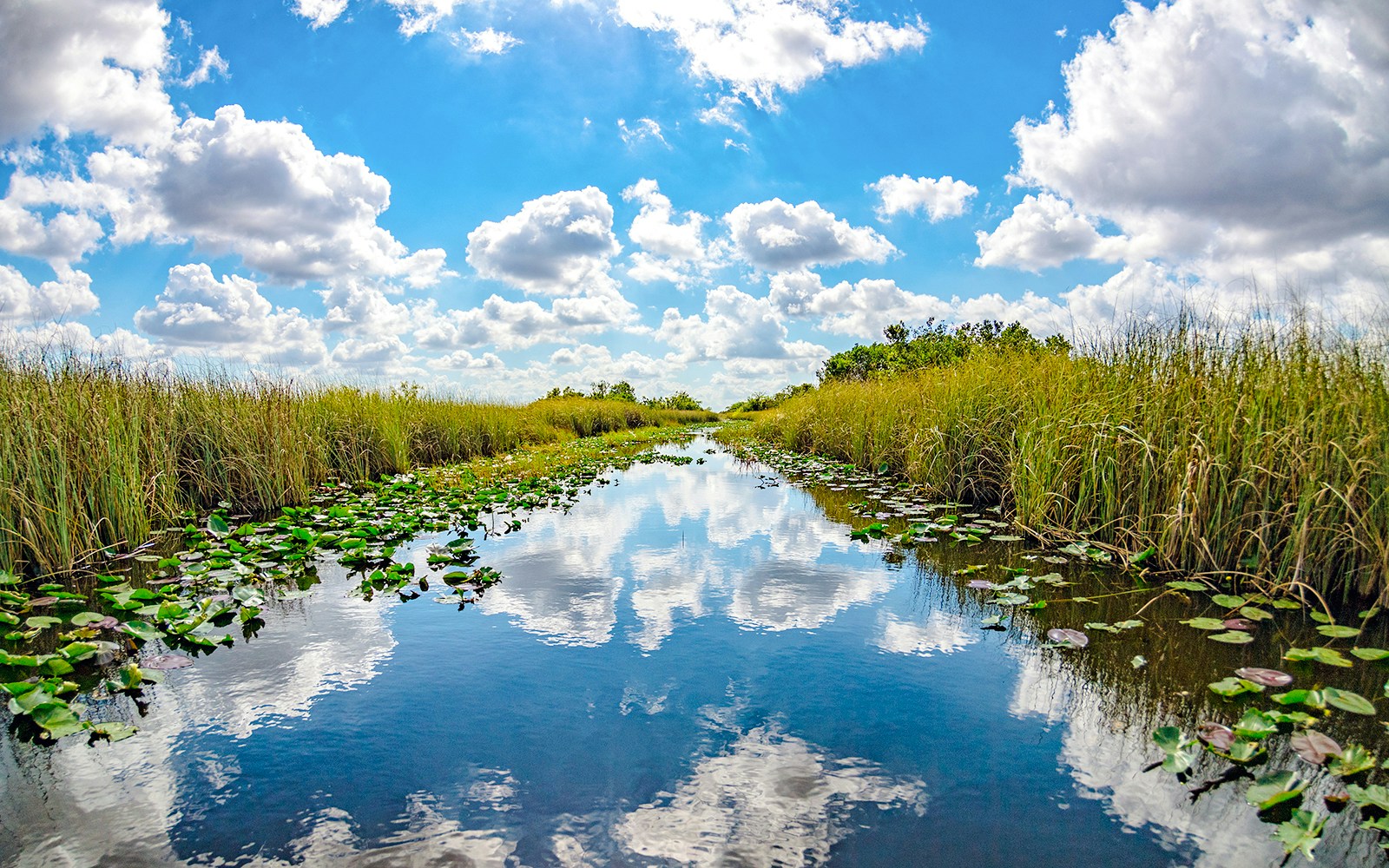 Sawgrass-lined waterway under blue sky in Everglades, reflecting clouds.
