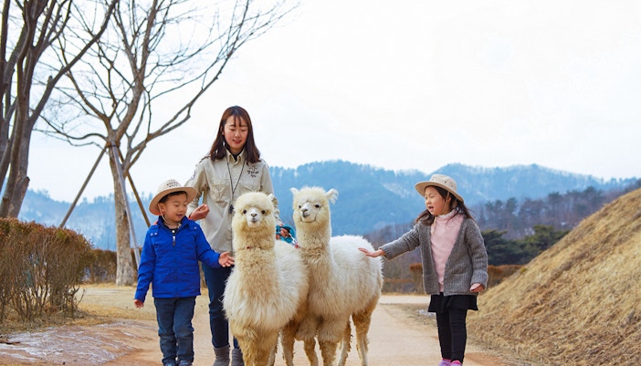 Nami Island