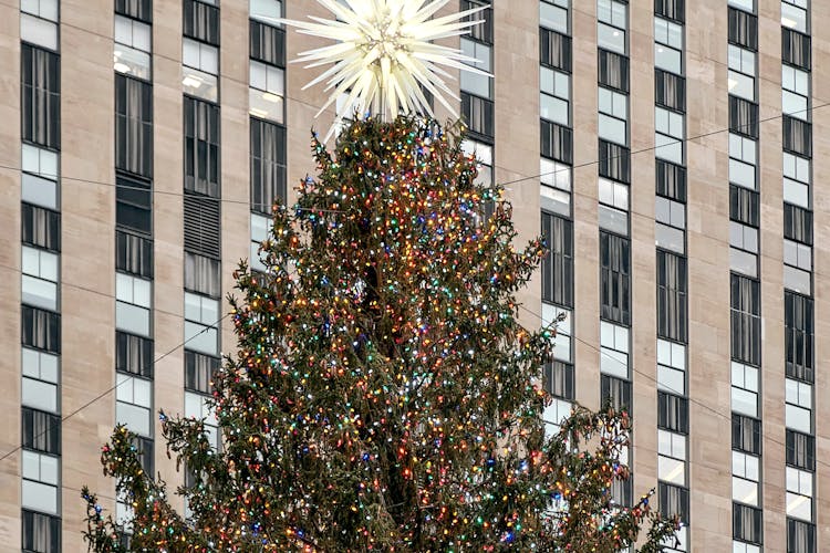 Rockefeller Center Christmas Tree